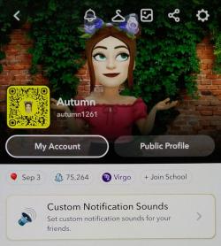 autumn1261