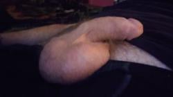 hollerdumb1