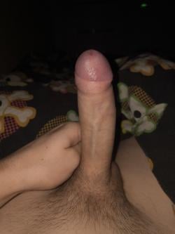 matas_zal