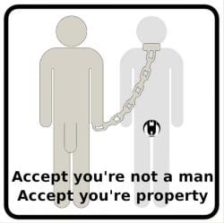 masternik-hanau picture