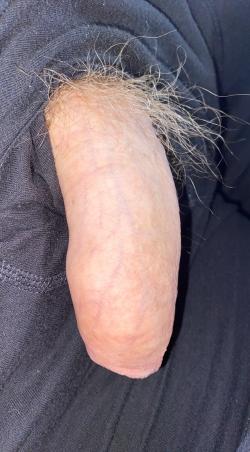 thelongdrive01 picture