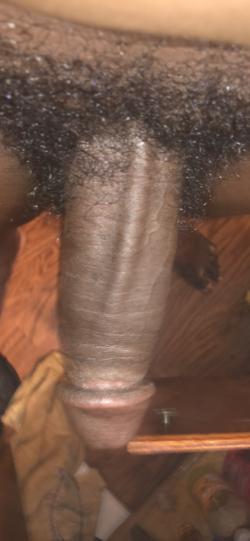 dentsbbc picture