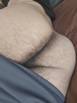 icarus253943 picture