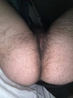 hairygaychub949