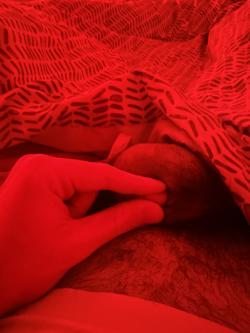 tiny2inchwilly picture