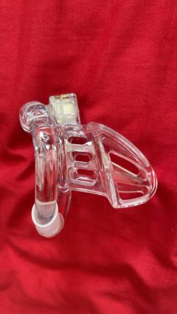 chastity-boy picture