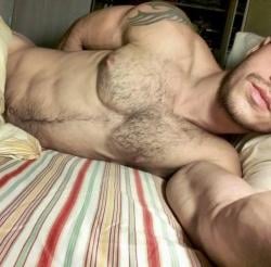 davxxx