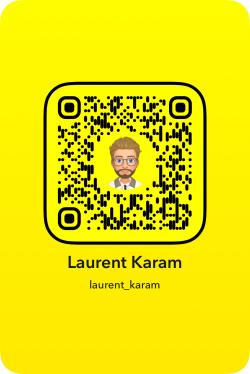 laurent_karam