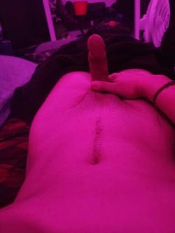 pibbledibble picture