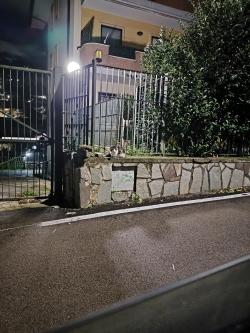 snapondescription picture