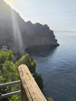 snapondescriptionn picture