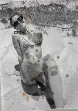 tradingtribsdescription