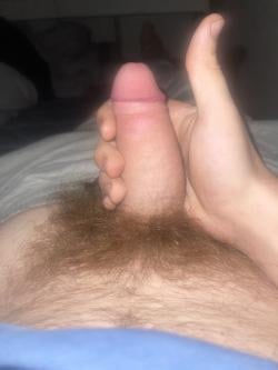 david_l2025473 picture