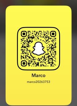 marco20263753 picture