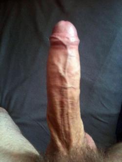 -jjpdegroot- picture