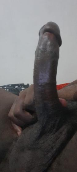 zwaiyne picture