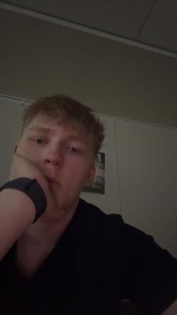 trentoneelman2500