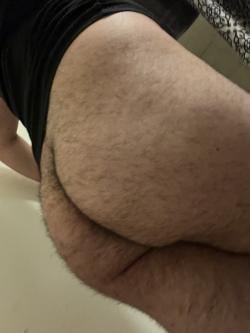 hariyverse2026 picture