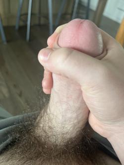 draydenlimpert picture