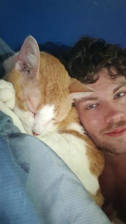 hamburgersnatch picture