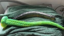 strange265771 picture