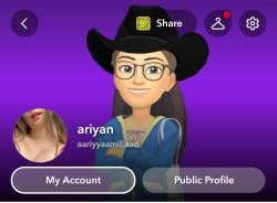 aariyyaamillaad picture