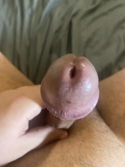 b_harris266375 picture