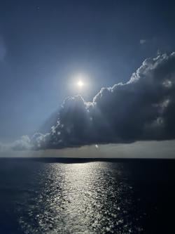 cooperw20253025 picture