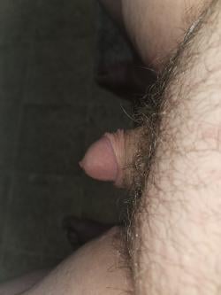 u5652296 picture