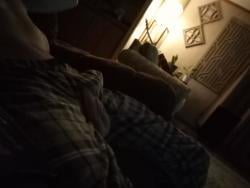 the_walrus12026 picture