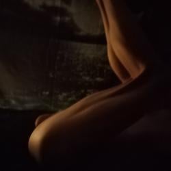 the_walrus12026 picture