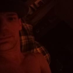 the_walrus12026 picture