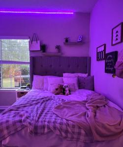 foto de khlyl_l20243149