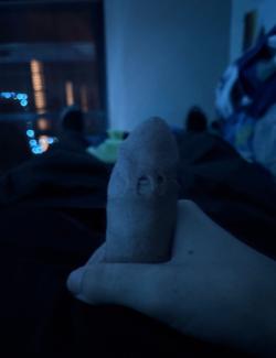 jbucket2025s picture