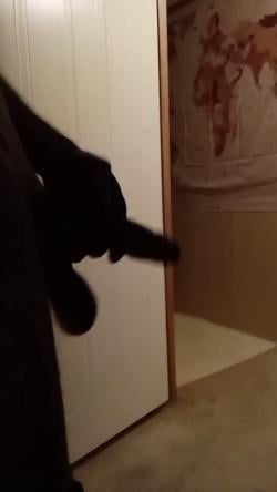 snapthewalrus1 picture