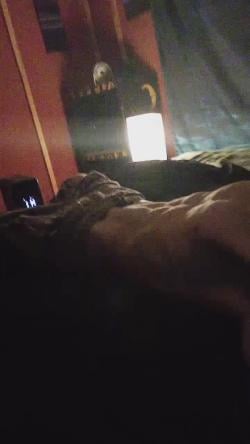 snapthewalrus1 picture