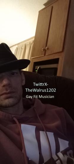 snapthewalrus1 picture