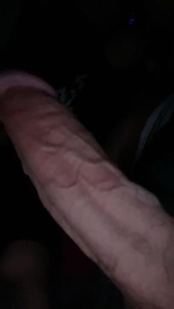 sallo20269452 picture