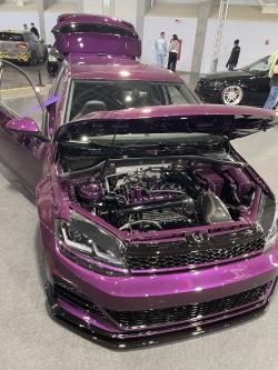 szabolcs2998 picture