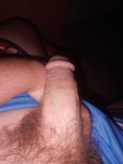 cambax24