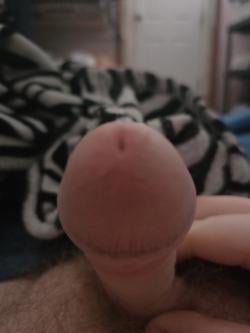 williamwerstl26 picture