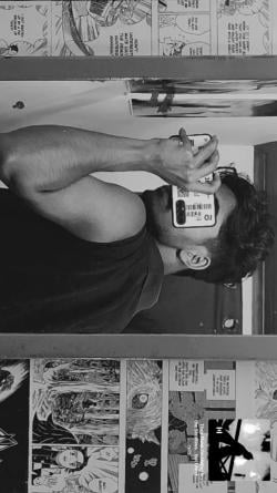 wasp-onehive picture