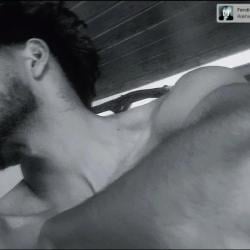 wasp-onehive picture