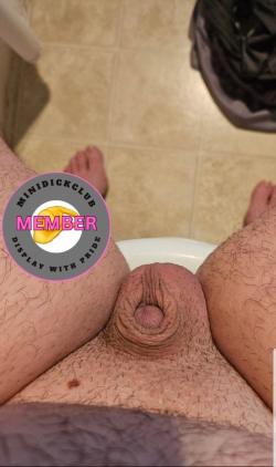 shrimpdick4
