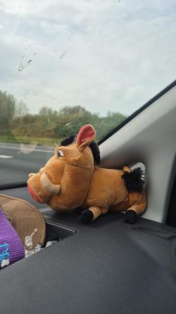 tygoslabber1 picture