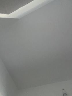 paxntelislamp picture