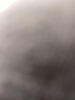 paxntelislamp picture