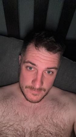 shea_t
