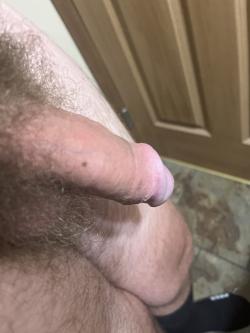 foto de french_toastr