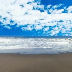 alexisfollon picture